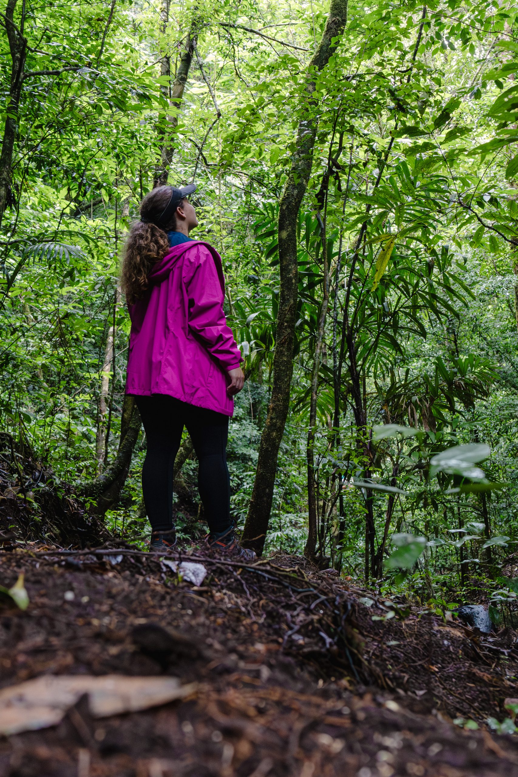 Trail Walk - Fondavela